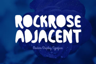 Designing Editorial Headers with Rockrose Adjacent
