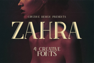 Zahra: A Bold Display Font for Web Design